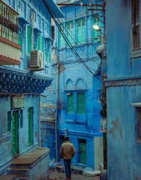 ruelle-jodhpur386x508.jpg