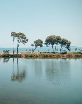 Vue bord de mer Hyères