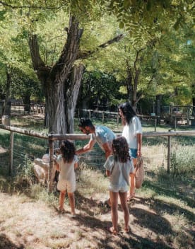 famille regardant un mouton - … ou côté montagne ?