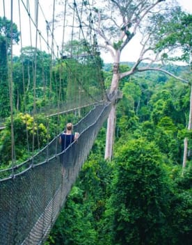 Ghana - parc national de kakum - voyage organisé au Ghana
