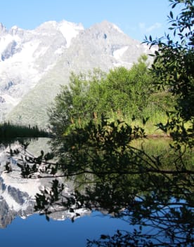 Vue-sur-la-Meije-depuis-l-etang-du-jardin-du-Lautaret.jpg