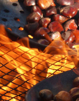 chataignes-1440x775.jpg