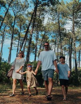 Parents et enfants se baladant main dans la main sous les pins