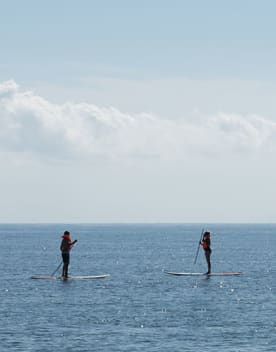 taglio-paddle.jpg