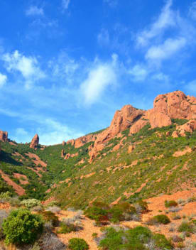 massif-esterel-386x508.jpg