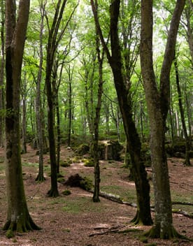 Hetraie - top activités à Serre Ponçon