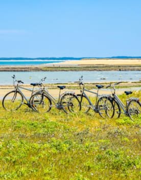 rangée de vélo sur l'herbe devant la mer - Oléron