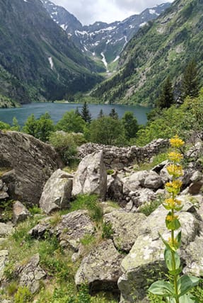 parc-national-des-ecrins-386x508.jpg