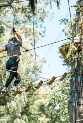Accrobranche - Femme pratiquant l'accrobranche se mouvant que une échelle suspendue au milieu des arbre