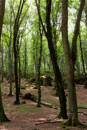 Hetraie - top activités à Serre Ponçon