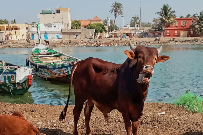 saint-louis-senegal2000x1333.jpg