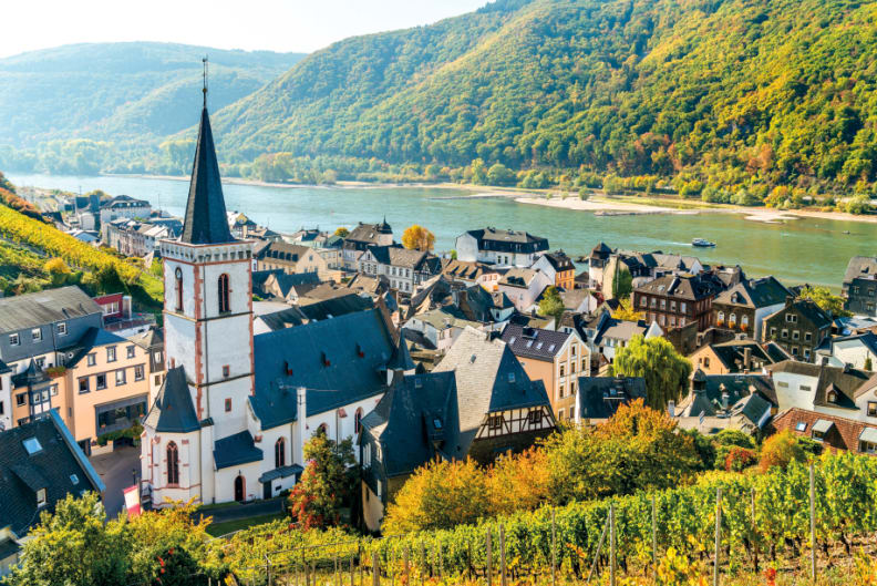 Rhin3_919x613.jpg