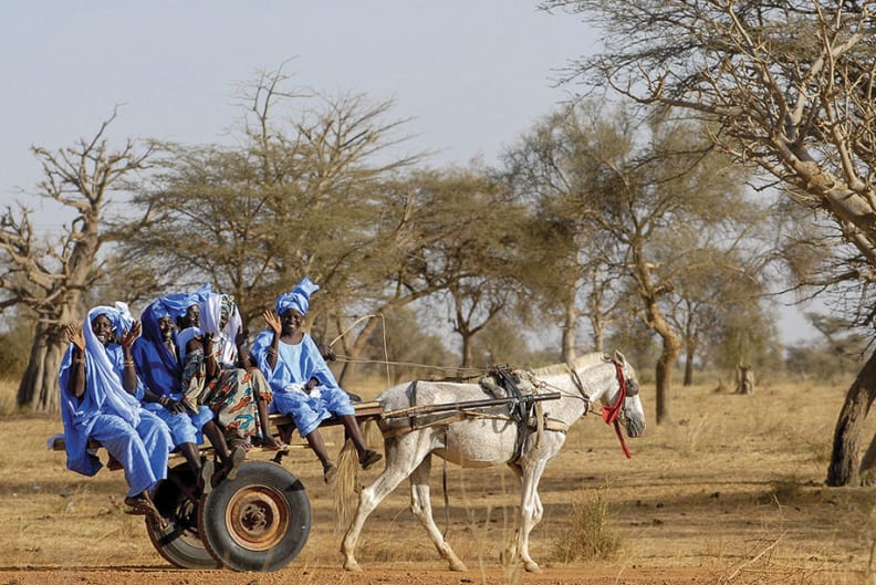 919x613_Senegal3_ETE26.jpg