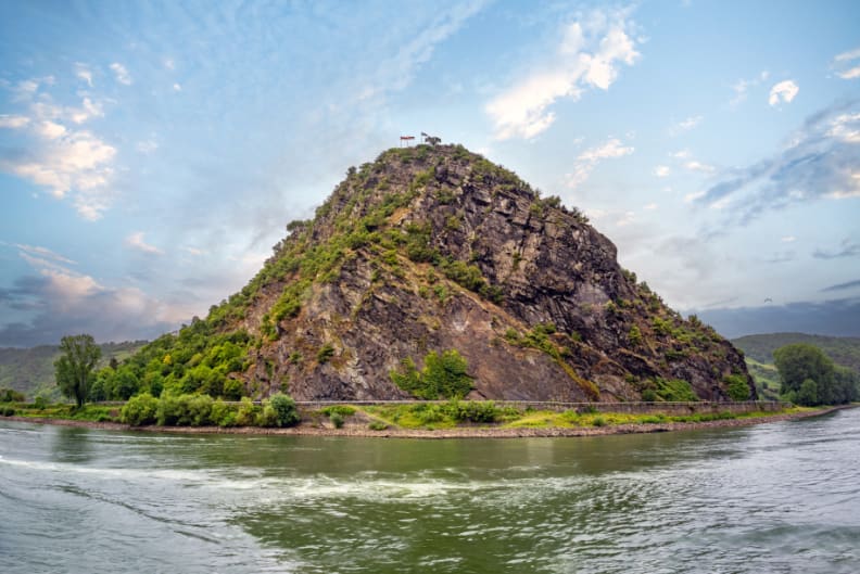 RhinNoel4_919x613.jpg