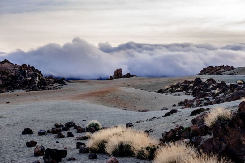 Canaries-ténérife-916x313.jpg