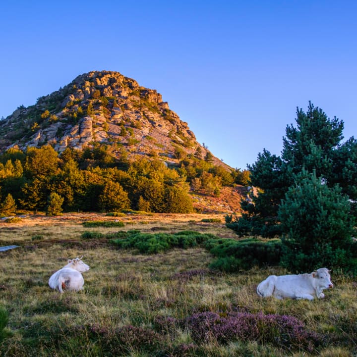 Le Geoparc des Monts d'Ardèche