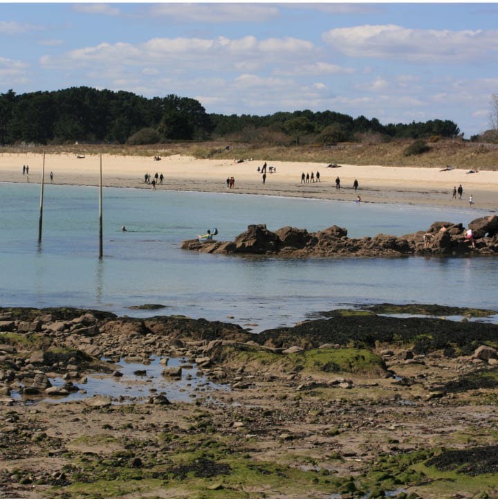 Plage Ty Guard - Club*** Keravel - Erdeven