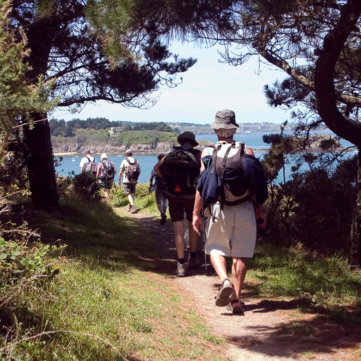 Groupe pratiquant la randonnée sous les pins en direction de l'océan
