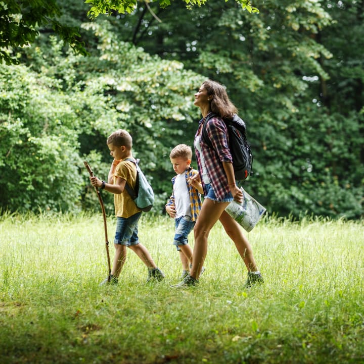 Mère avec ses deux fils se promenant des les bois - Résidence*** Lou Castel - Ardèche