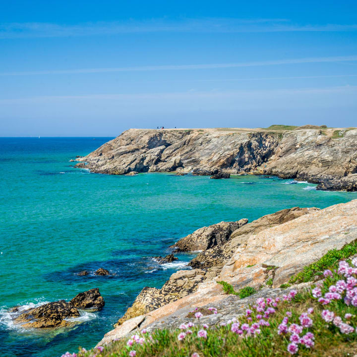 Vue des falaises avec à leurs pieds l'océan d'eau turquoise sous un ciel bleu avec quelques fleurs roses en premier plan - Club Keravel*** - Erdeven