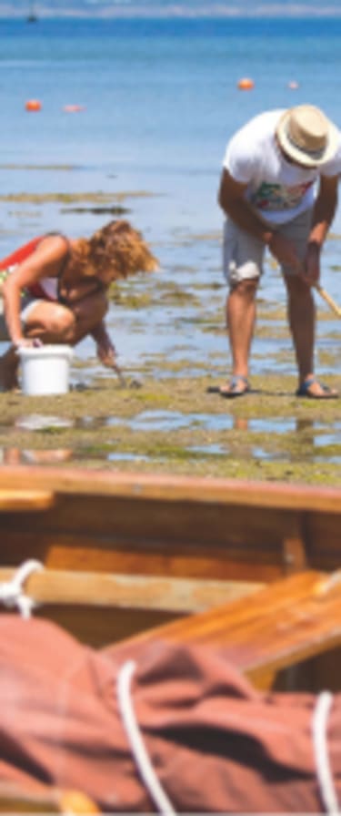 Personnes ramassant des coquillage à marée basse - Club*** Keravel - Erdeven