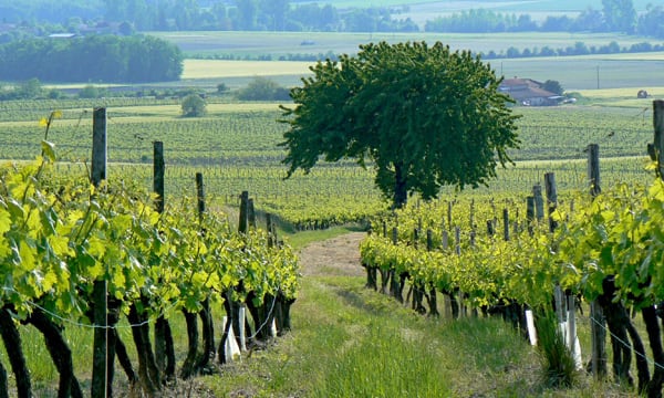 vacances-campagne-jonzac.jpg