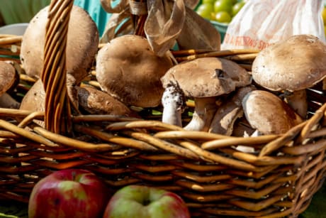 Fruits et légumes d'automne - champignon