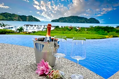 Villa-Frazier-pool-view-champagne.jpg