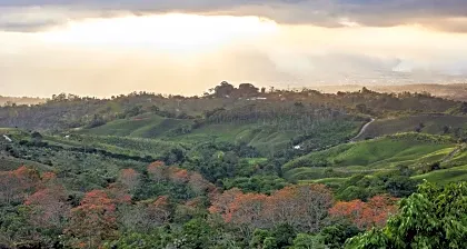 alta-gracia-san-isidro-perez-zeledon-misty'landscape.jpg
