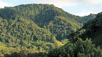 bajos-del-toro-juan-castro-blanco-national-park-detail.jpg