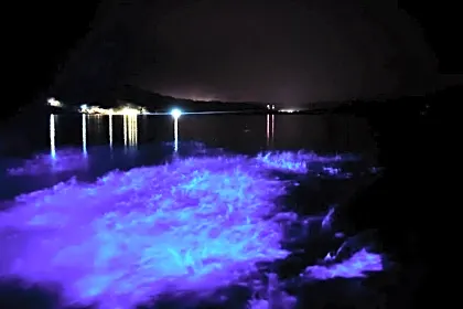bioluminesence-boat-water-perpesctive-close-up-costa-rica.jpg
