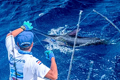 blue-marlin-offshore-fishing-solo.jpg