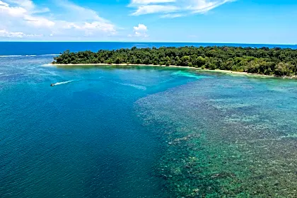 cahuita-beach-punta-uva-puerto-viejo.jpg