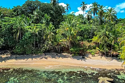 caribbean-manzanillo-point-beach-aerial.jpg