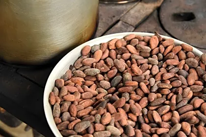 chocolate-tour-cacao-seeds-close-up-costa-rica.jpg