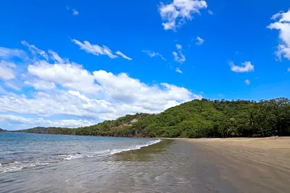 coco-beach-shore.jpg