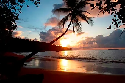 copa-de-arbol-beach-sunset-view-drake.jpg
