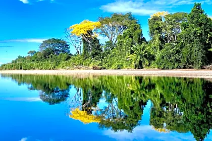 dominical-beach-estuary-mirrored-overview.jpg