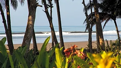 esterillos-beach-waves-overview.jpg