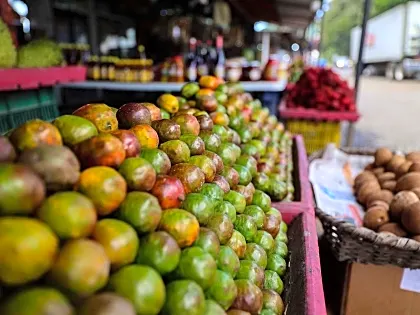 fruit-stall-costa-rica-ferria-2.jpg