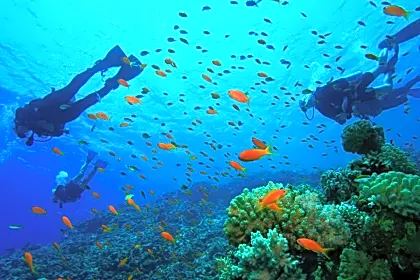 guanacaste-scuba-diving.jpg