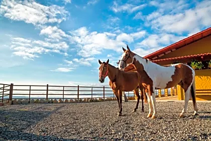 hacienda-alta-gracia-resort-two-horses-perez-zeledon.jpg