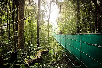hanging-bridges-monteverde-cloudforest-solo-traveller-sky-adventures.jpg