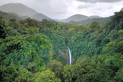 la-fortuna-waterfall-forest-wildlife.jpg