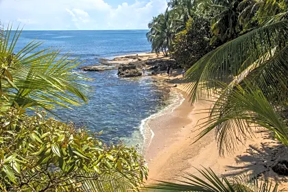 manzanillo-mirador-cahuita-puerto-viejo-caribbean.jpg