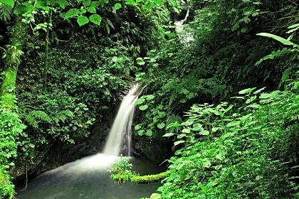 monteverde-waterfall.jpg