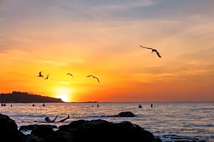 mother-earth-vegan-hotel-beach-sunset-view-tamarindo.jpg