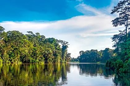 upala-cano-negro-national-park-canals-forest.jpg
