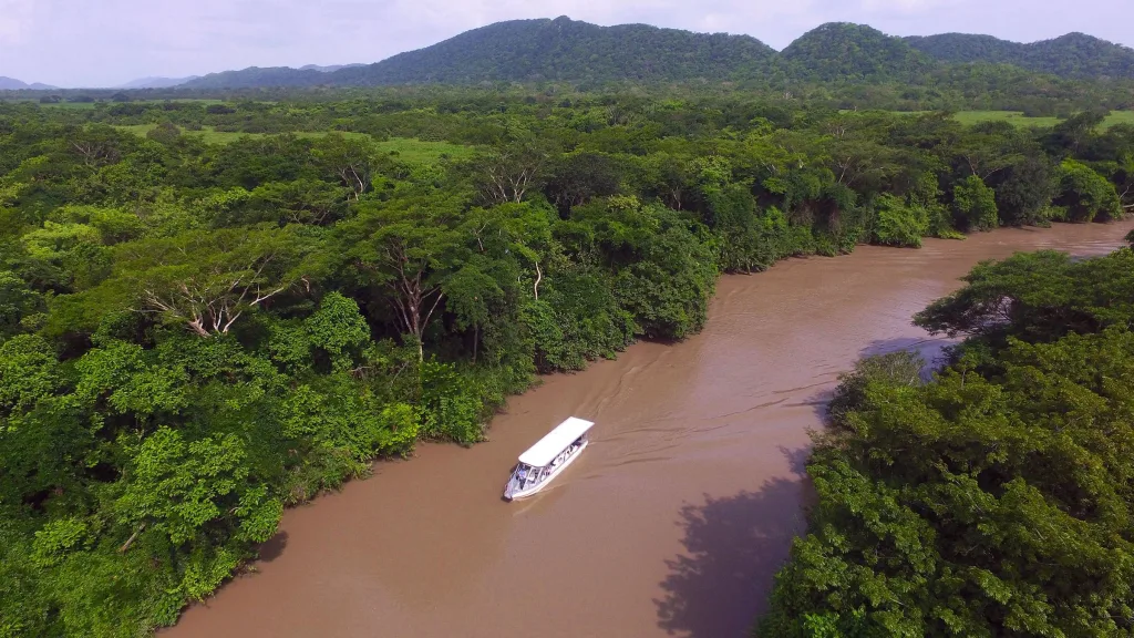 Nature by Boat