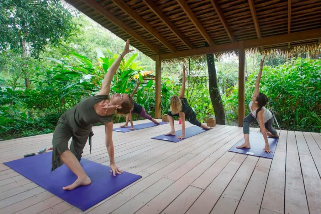 Jungle Yoga and Beach Retreat